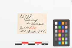 Etikett zu Bronzebrillenfibel (NHMW-PRAE-025757)